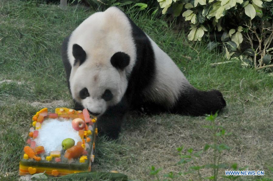 CHINA-MACAO-GIANT PANDA-BIRTHDAY(CN)