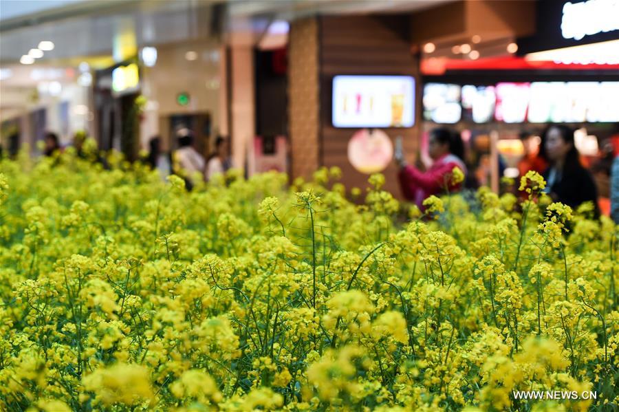 Рукотворное поле появилось в торговом центре в Чунцине