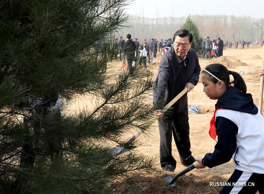 （XHDW）（5）黨和國家領導人參加首都義務植樹活動