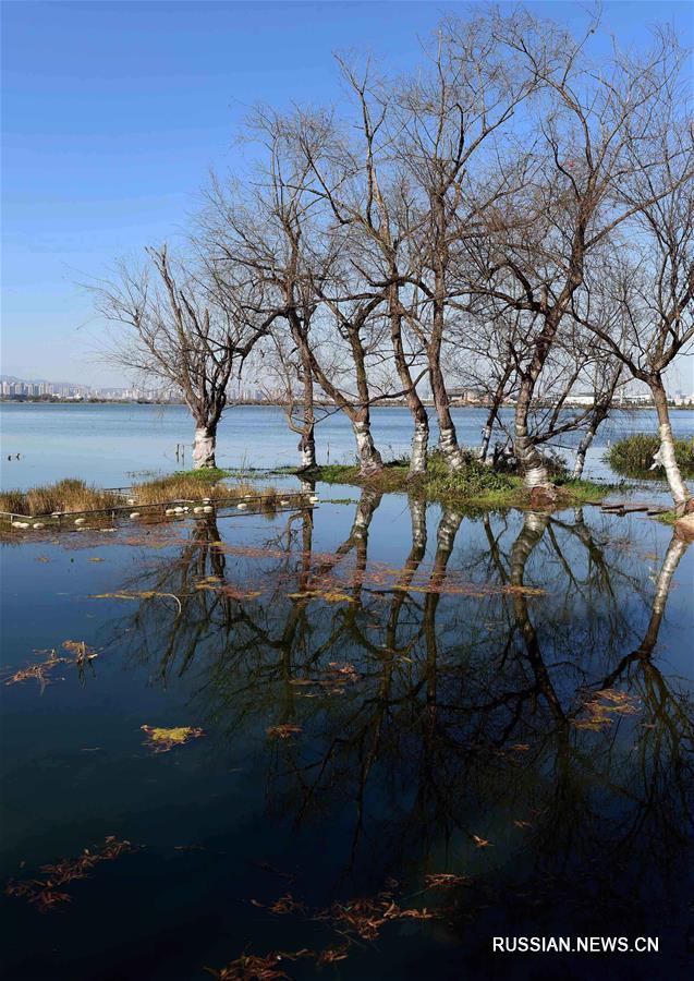 Качество воды в озере Дяньчи на юго-западе Китая улучшилось