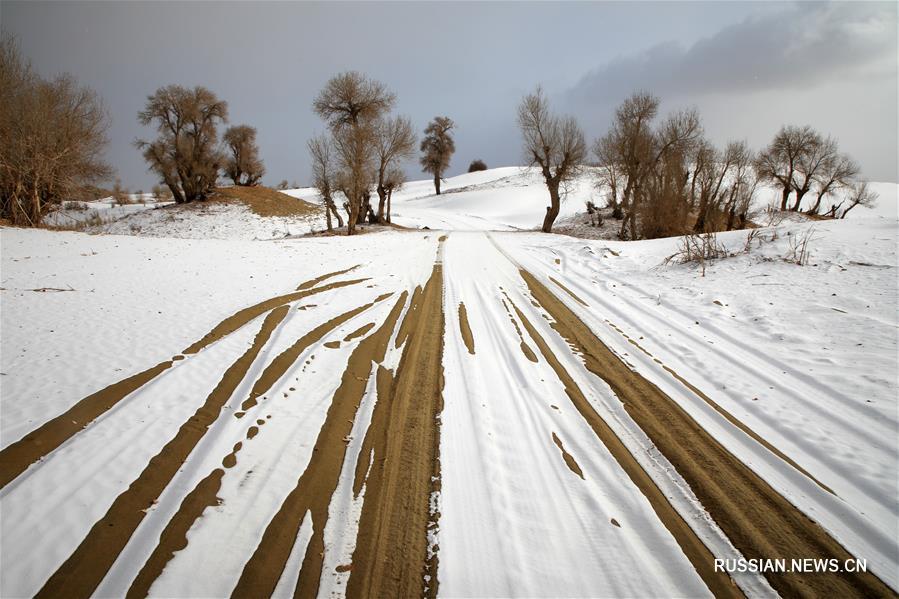 #（環境）（4）塔克拉瑪干沙漠雪景如畫