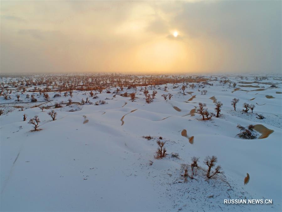 #（環(huán)境）（10）塔克拉瑪干沙漠雪景如畫