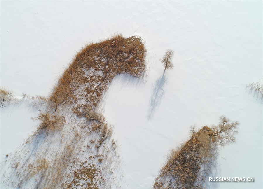 #（環(huán)境）（8）塔克拉瑪干沙漠雪景如畫