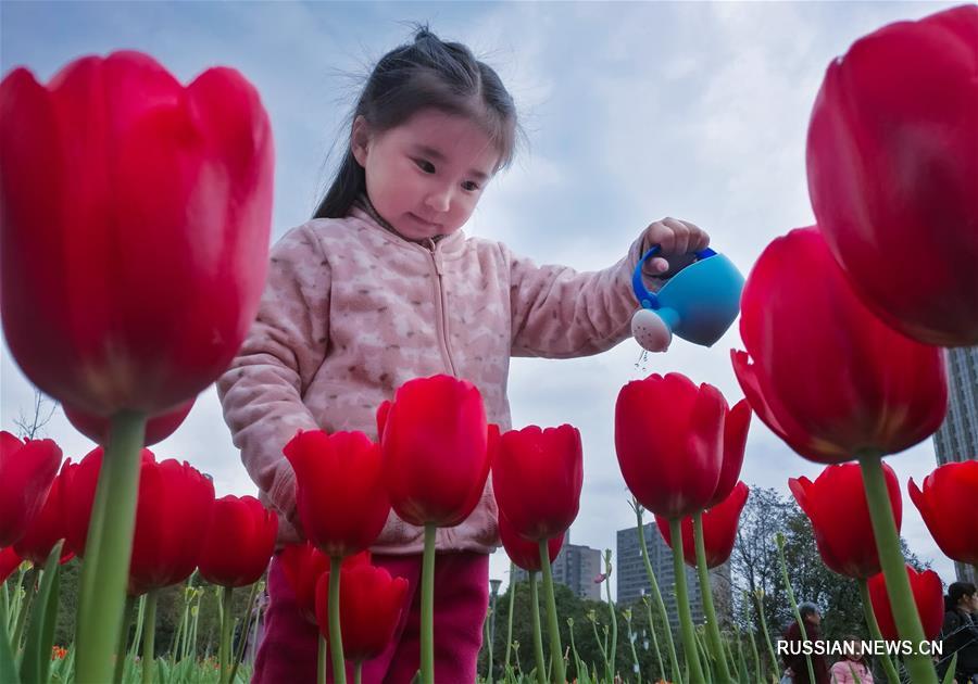 Весна радует приятной погодой жителей Китая