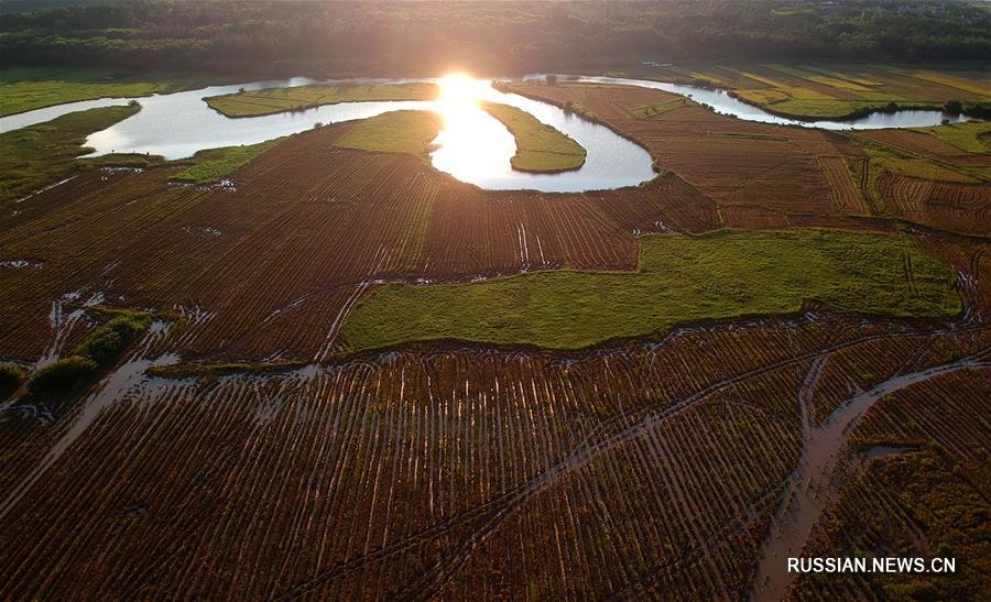 Водно-болотные угодья в городе Хайкоу