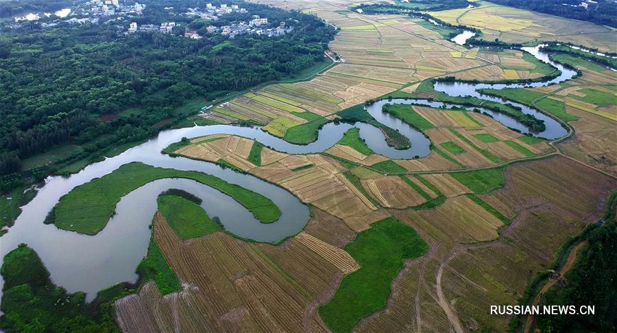 Водно-болотные угодья в городе Хайкоу