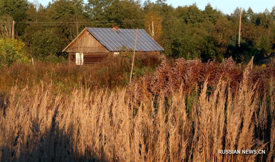 Первые осенние заморозки в Беларуси