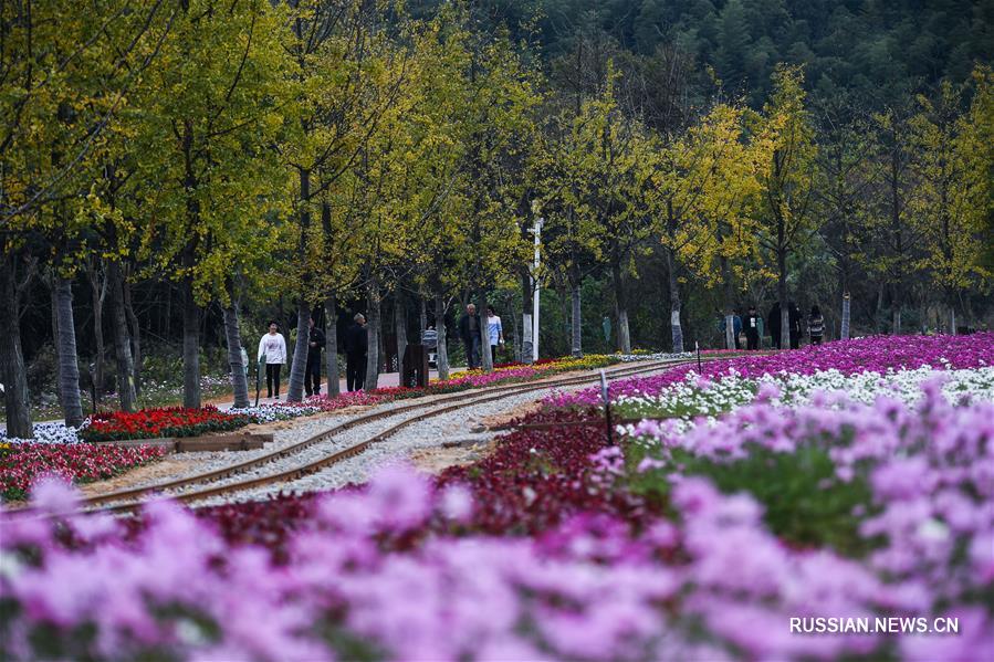 Осень в уезде Чансин провинции Чжэцзян