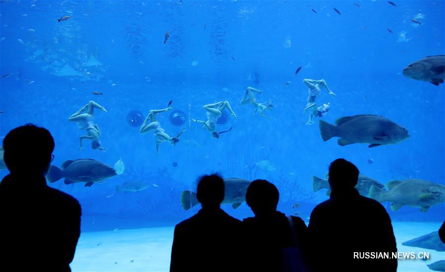 Океанариум Haichang Ocean Park в Шанхае