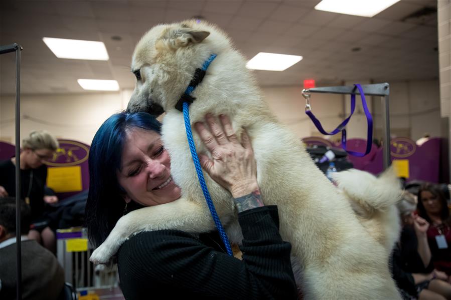 Выставка собак Westminster Kennel Club Dog Show