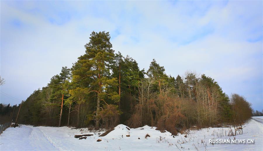 Яркий рассвет в Беларуси