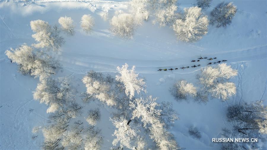 Возрождение старинных "снеговых досок" в округе Алтай