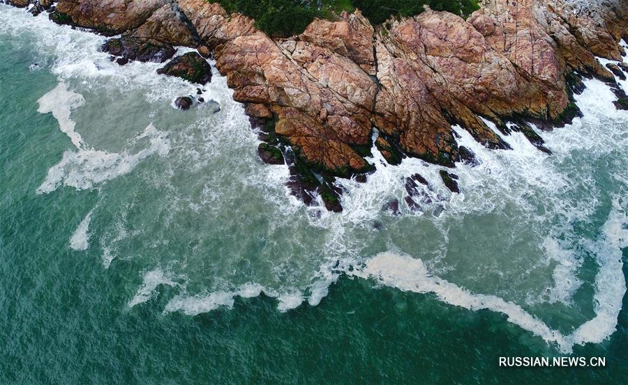 Зеленый Китай -- Водное царство посреди города в Гуанчжоу