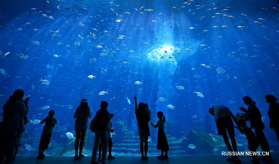 Зеленый Китай -- Остров Хайнань, жемчужина южных морей