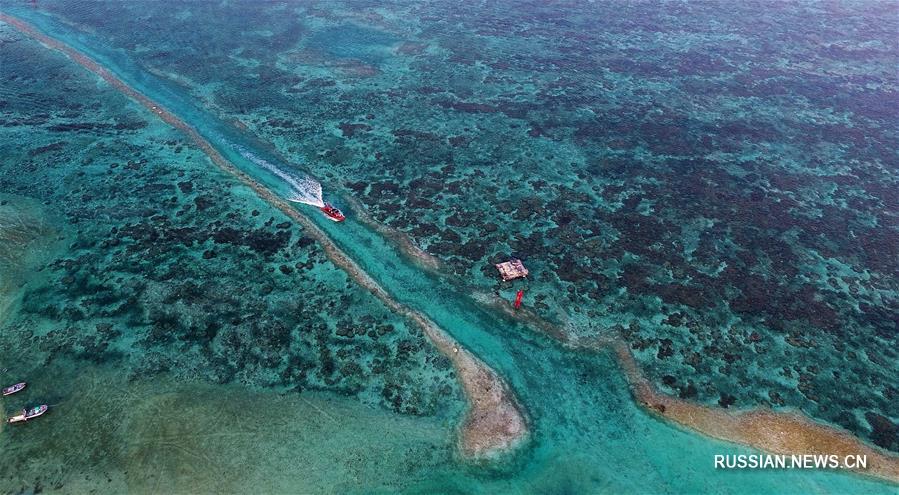 Зеленый Китай -- Остров Хайнань, жемчужина южных морей