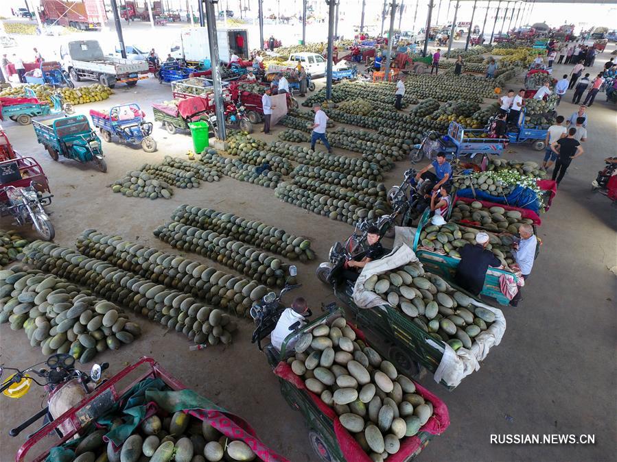 На рынки Синьцзяна поступили свежие файзабадские дыни