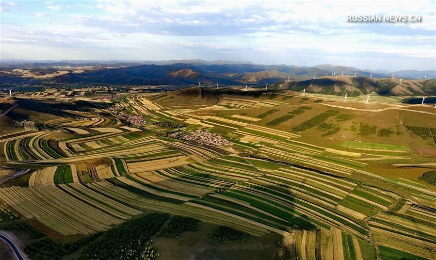 Осенние краски степи Башан