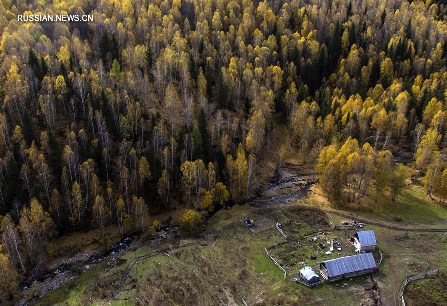 Золотая осень в ландшафтном парке Канас