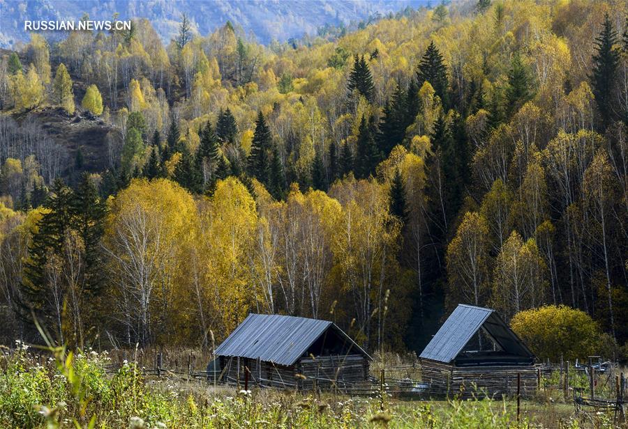 Золотая осень в ландшафтном парке Канас