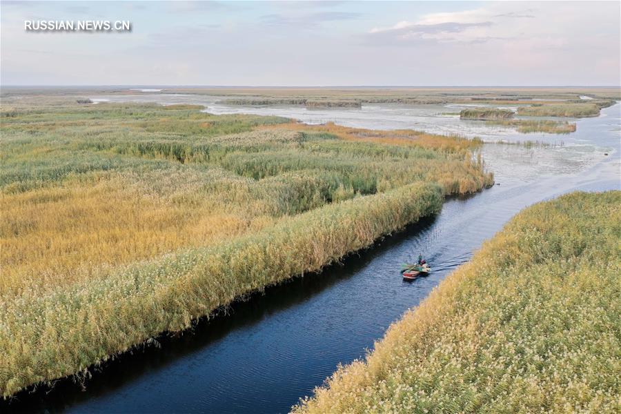 Золотая осень на озере Баграшкель