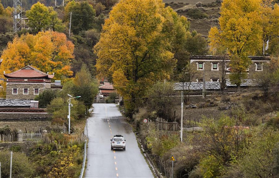 Золотая осень в отдаленном уезде на западе провинции Сычуань