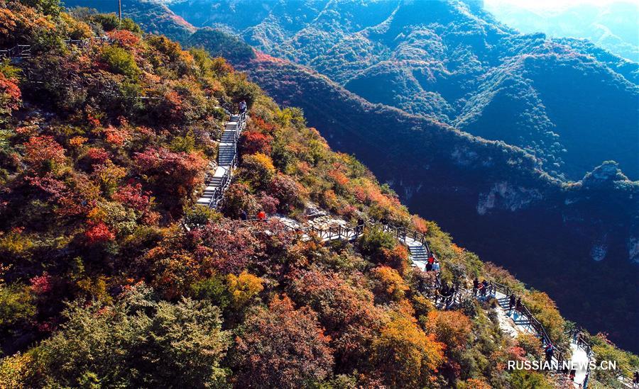 （美麗中國）（2）河北涉縣：紅葉染太行 金秋美如畫