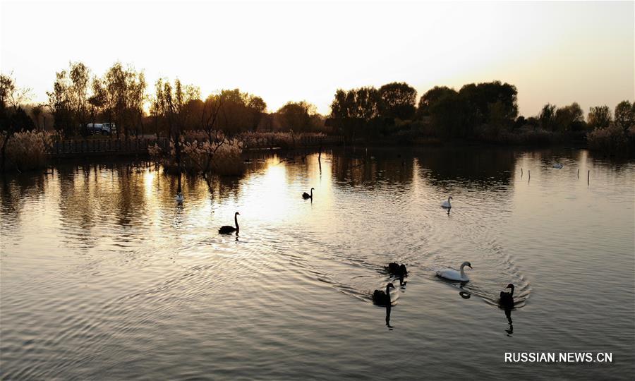 Водно-болотные угодья в г. Цзинань во время вечерней зари