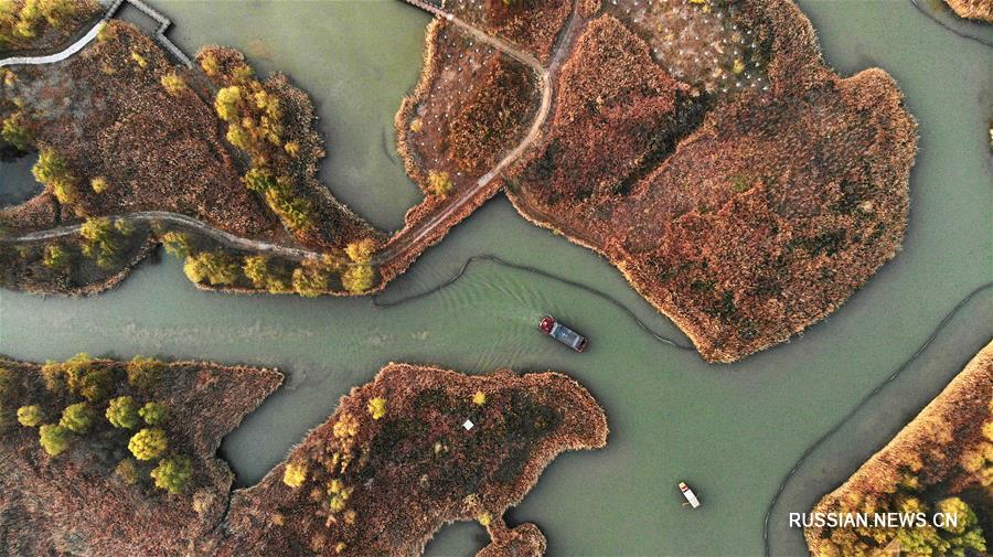 Водно-болотные угодья в г. Цзинань во время вечерней зари