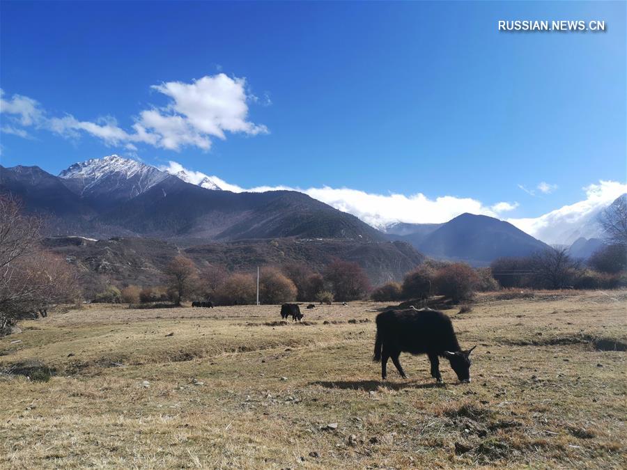 Чарующая красота Гранд-каньона Ялуцангпо