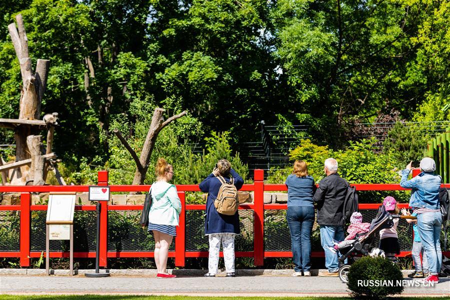 Берлинский зоопарк открывается после карантина