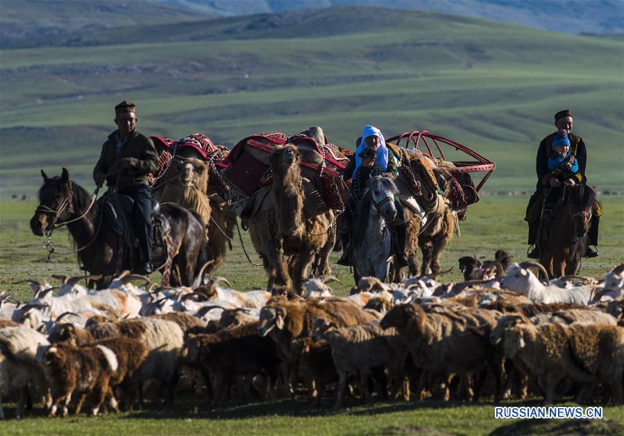 Оживление на весеннем пастбище в уезде Чингиль