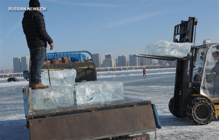 Сбор речного льда для парка "Мир льда и снега" в Харбине