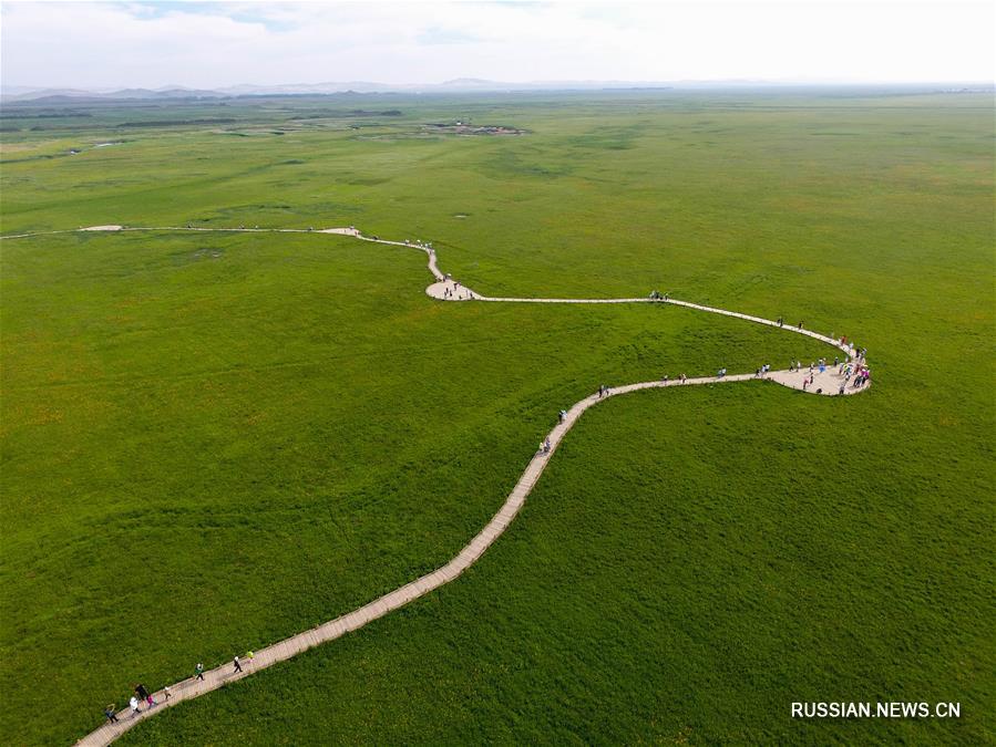 Туристический фестиваль цветов купальницы в степях Внутренней Монголии