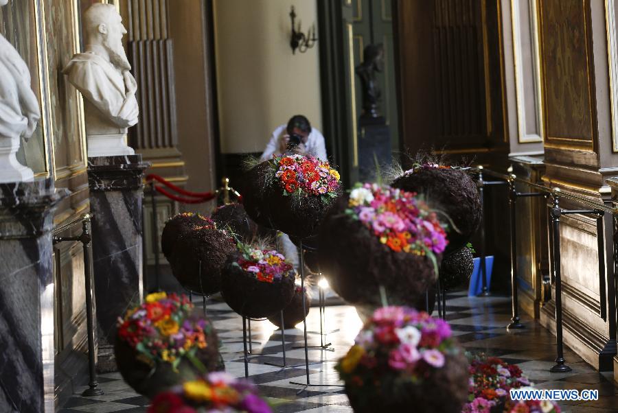 BELGIUM-BRUSSELS-CITY HALL-FLOWERTIME