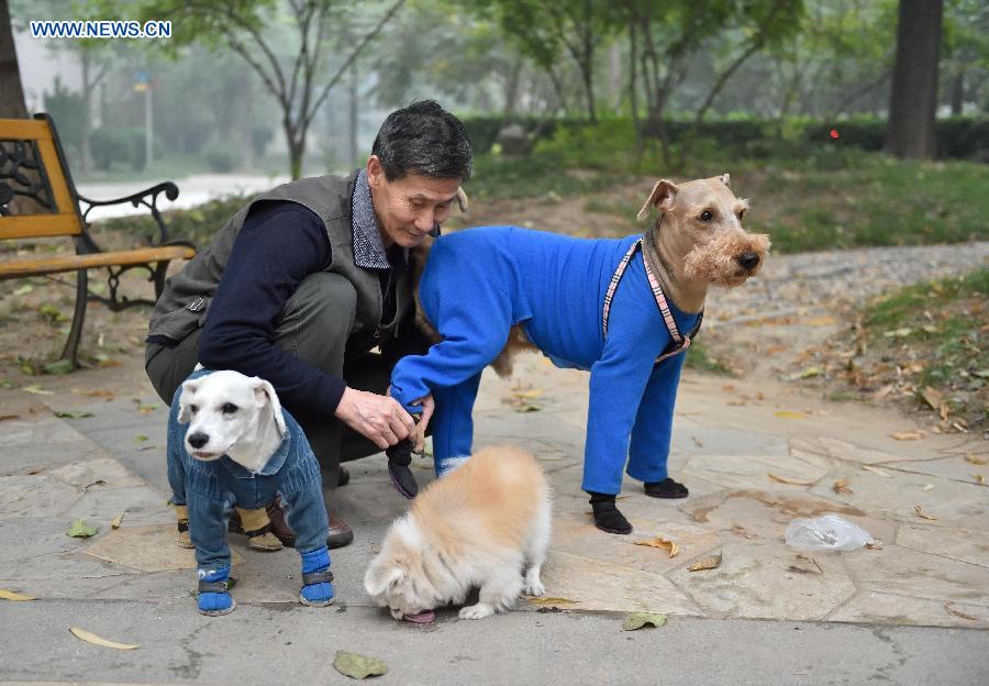 （新華視點(diǎn)·圖片版）（1）老人和他們的動物伴侶