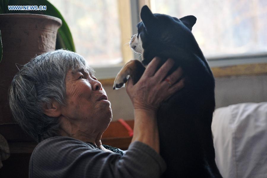 （新華視點·圖片版）（3）老人和他們的動物伴侶