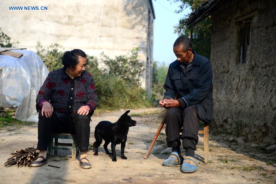 （編輯連線·重陽節）（5）老人和他們的動物伴侶