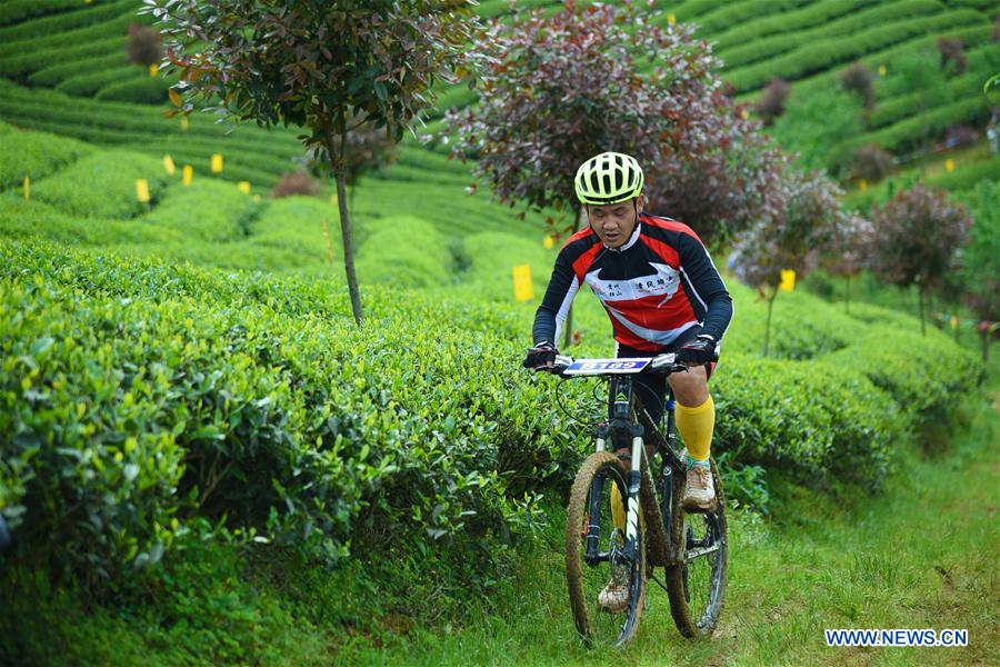 （體育）（2）自行車——2016松煙茶山騎游山地自行車賽開賽