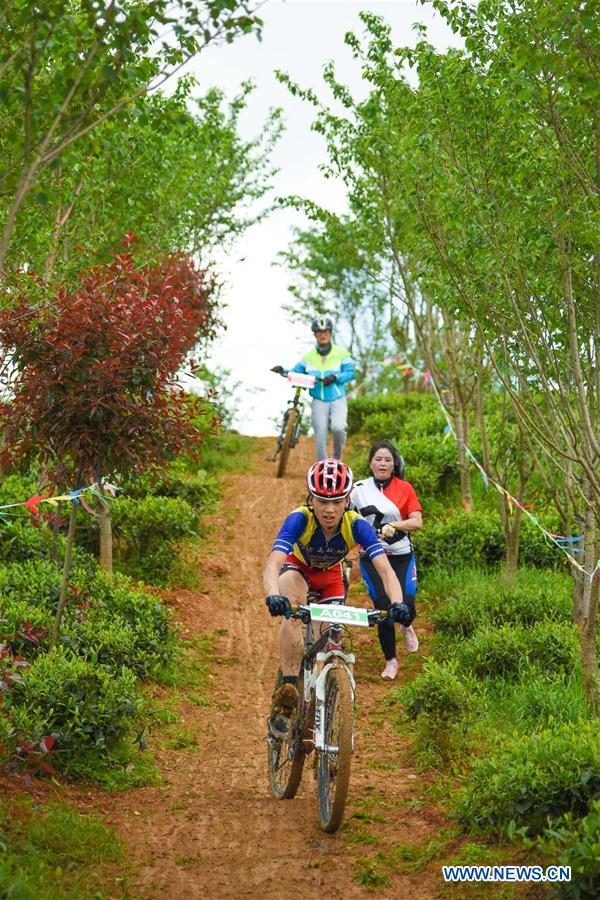 （體育）（4）自行車——2016松煙茶山騎游山地自行車賽開賽