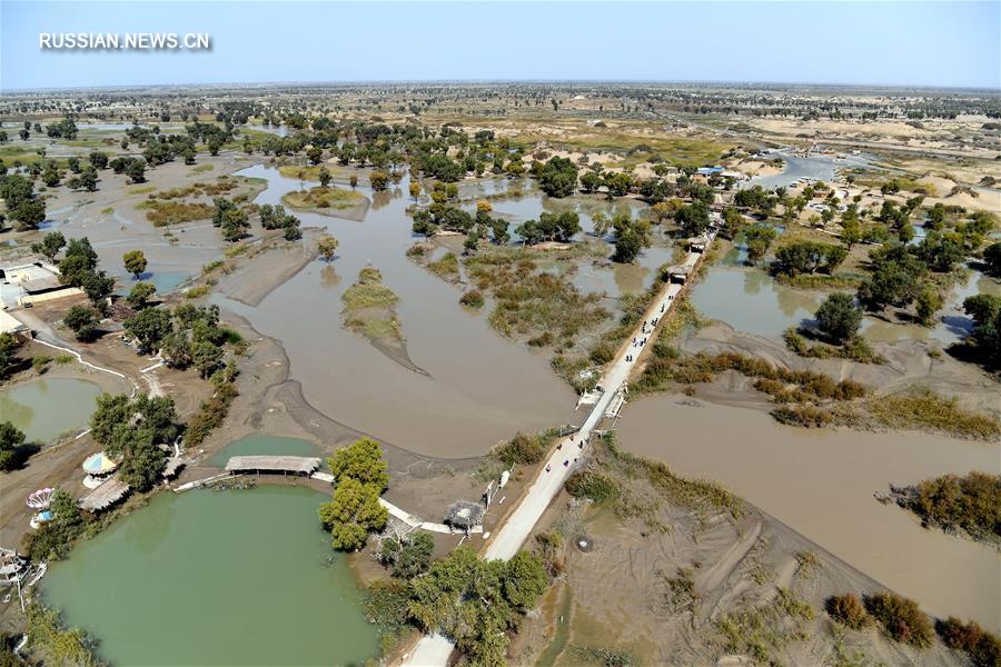 Осень на берегах реки Тарим в Синьцзяне