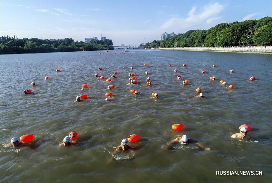 Живительная водная прохлада в жаркие дни лета