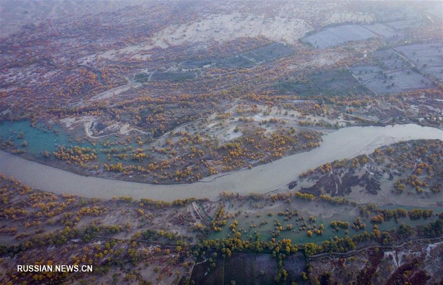 Чарующая красота осенней поры в уезде Юйли Синьцзяна 