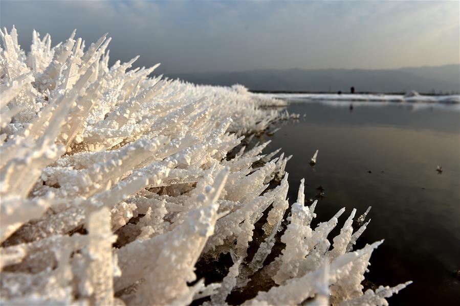 CHINA-SHANXI-SALT LAKE-MIRABILITE RIME (CN)