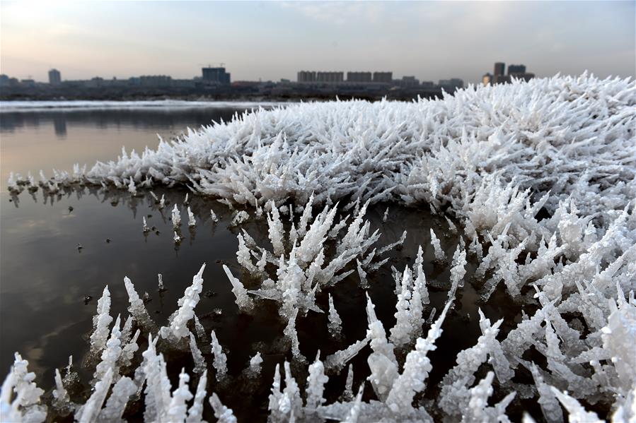 CHINA-SHANXI-SALT LAKE-MIRABILITE RIME (CN)