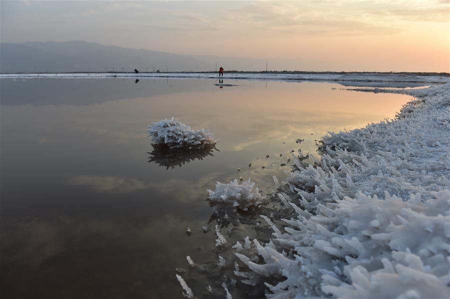 CHINA-SHANXI-SALT LAKE-MIRABILITE RIME (CN)