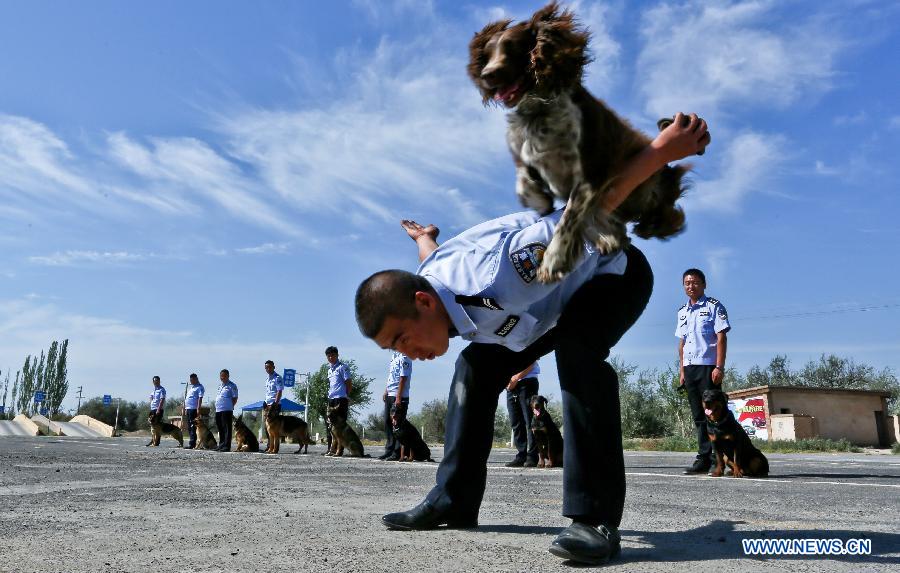 #（社會）（3）警犬實戰演練顯本領