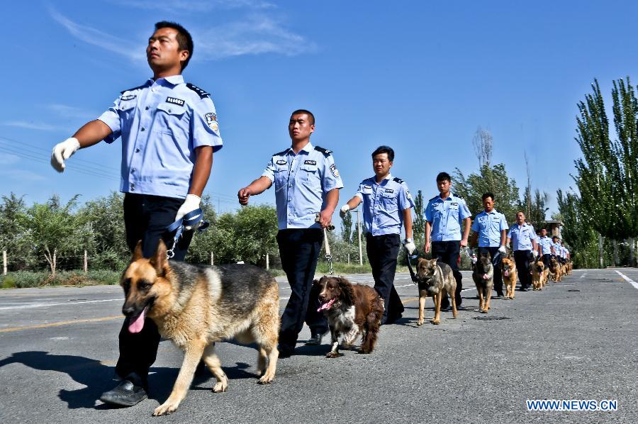 #（社會）（2）警犬實戰演練顯本領