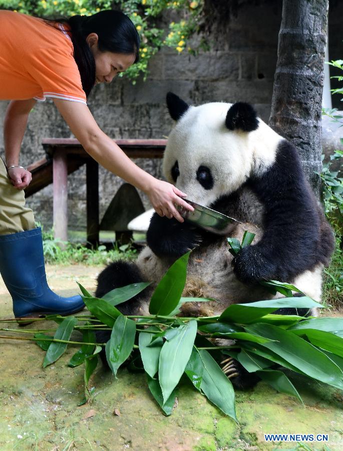 CHINA-FUZHOU-PANDA-BIRTHDAY(CN)