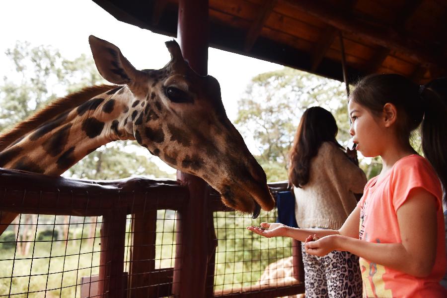 KENYA-NAIROBI-ENVIRONMENT-GIRAFFE CENTER