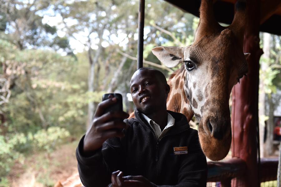 KENYA-NAIROBI-ENVIRONMENT-GIRAFFE CENTER